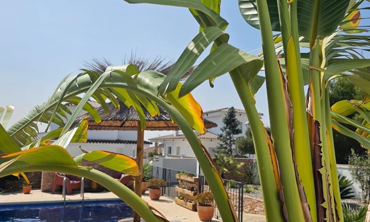 Photo of Outdoor in L'Escala