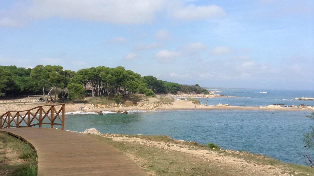 Photo of Others in L'Escala