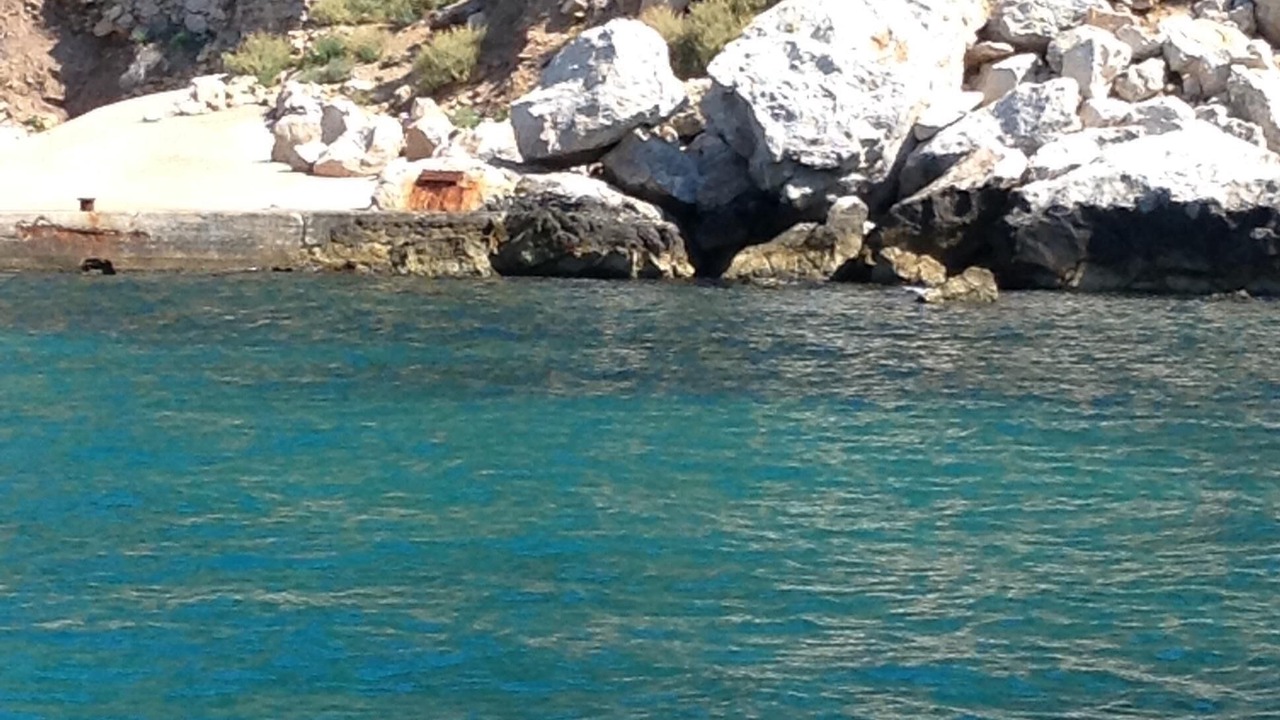 Photo of Outdoor in L'Escala