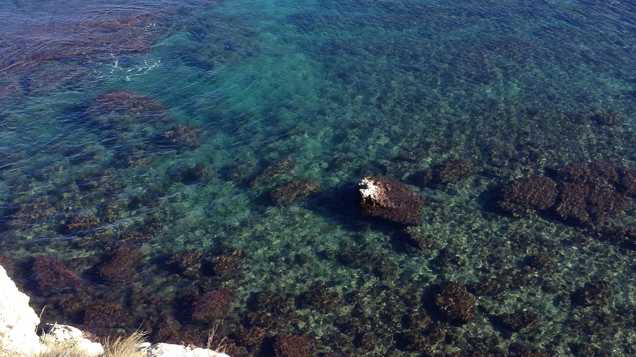 Photo of Others in L'Escala