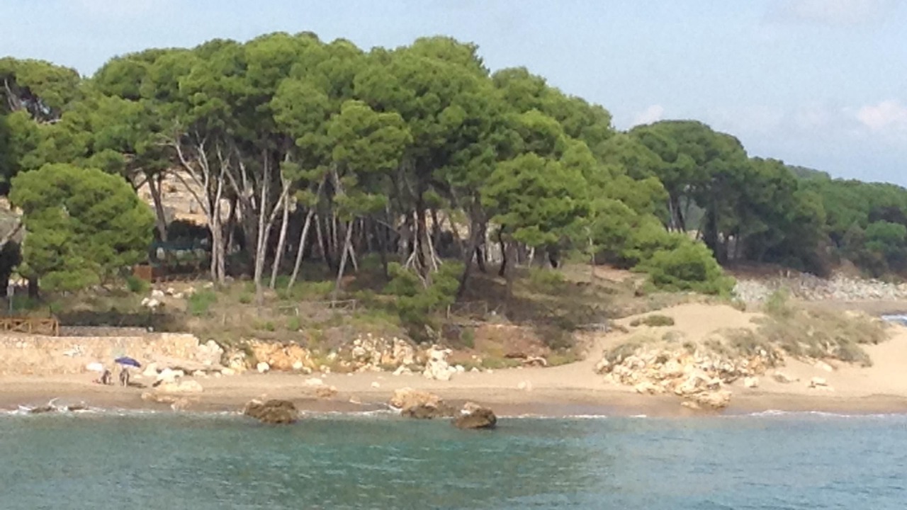 Photo of Others in L'Escala