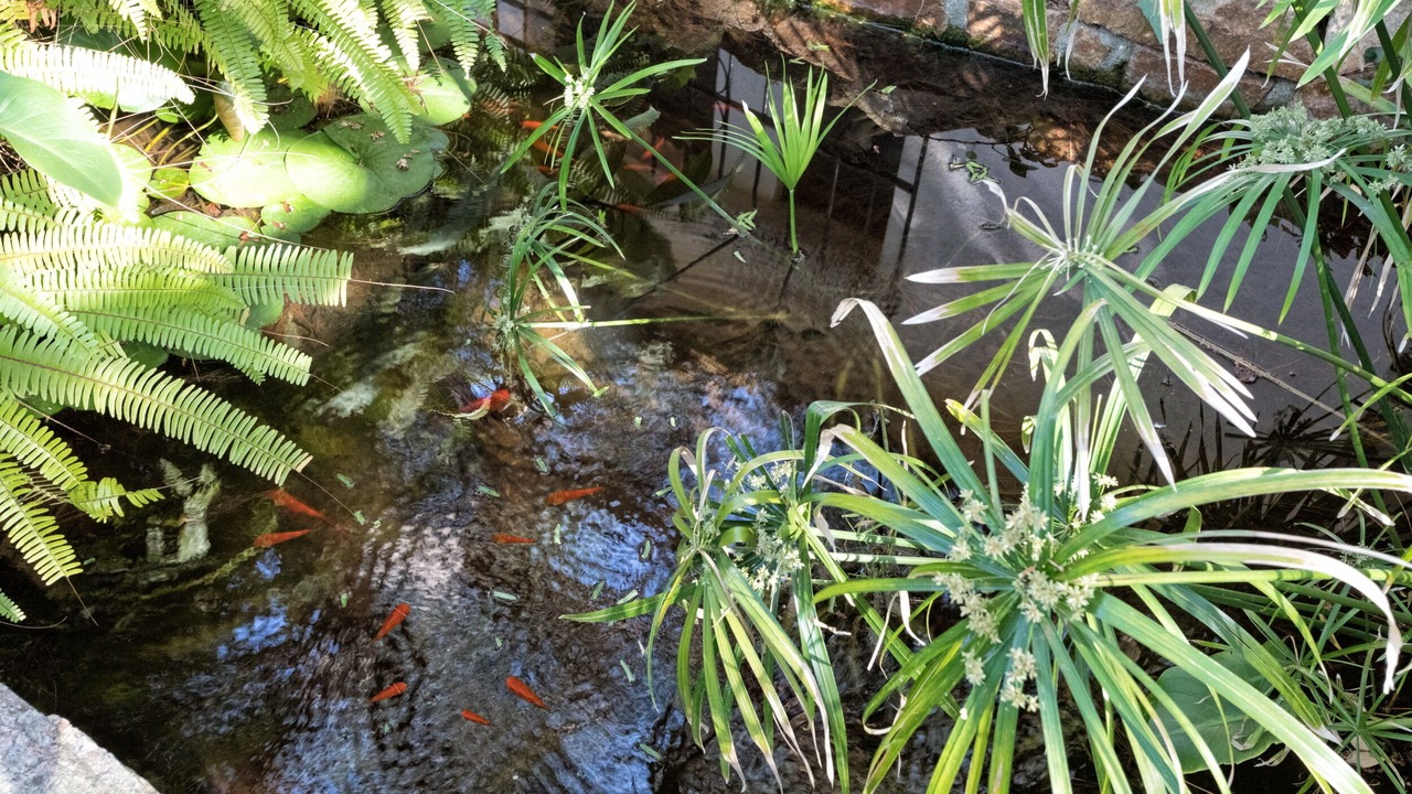Photo of Outdoor in Tossa de Mar