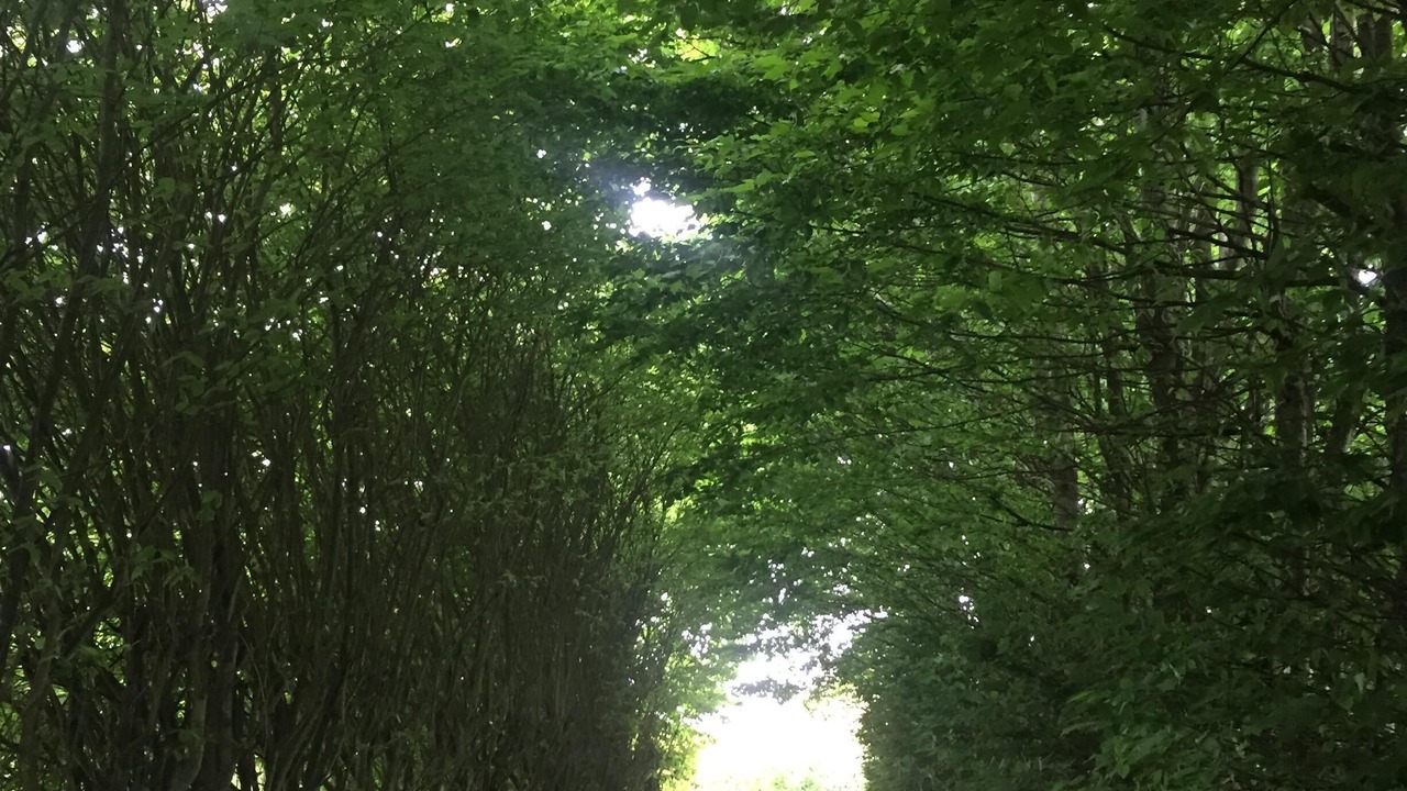 Photo of Outdoor in Beuzeville