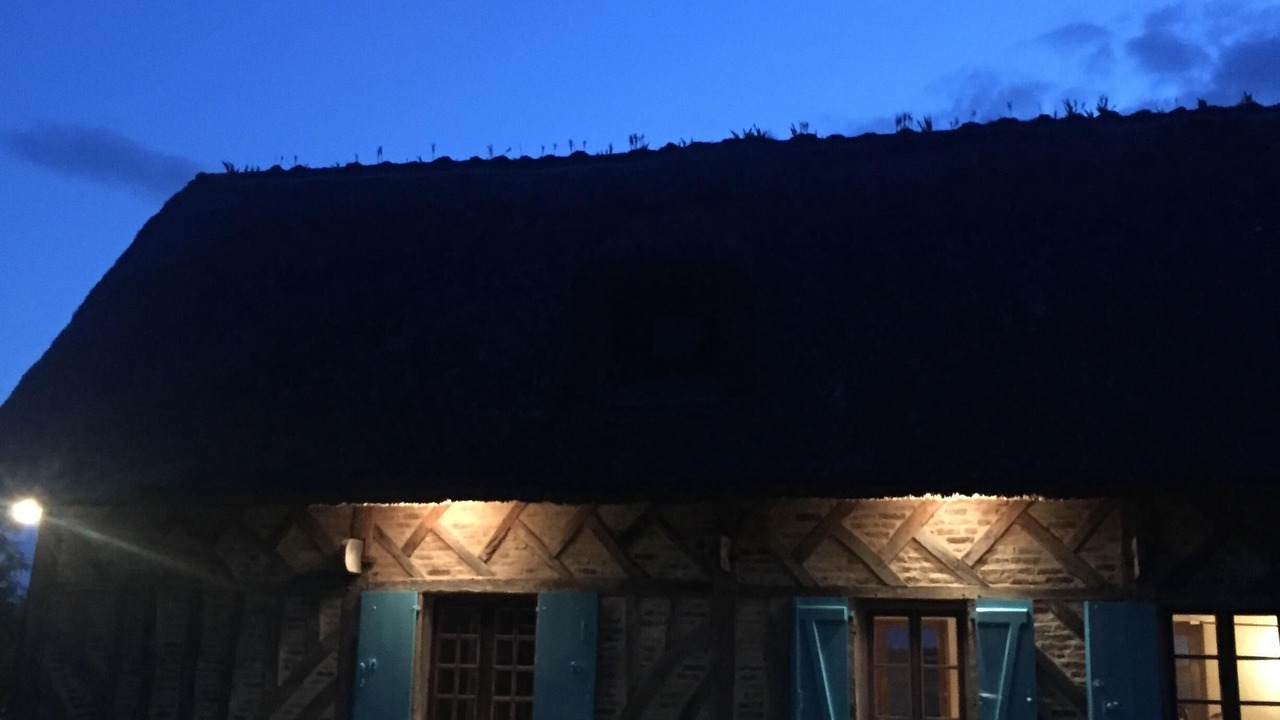 Photo of Outdoor in Beuzeville
