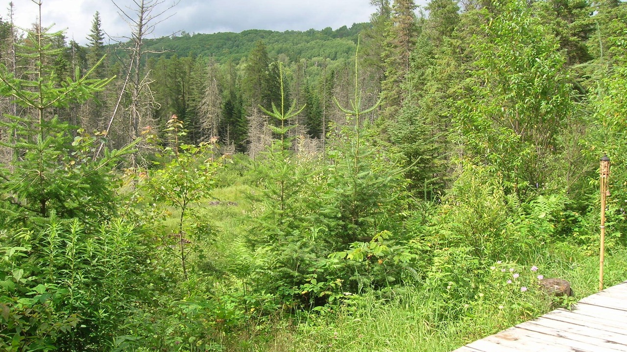 Photo of Outdoor in Saint-Alexis-des-Monts