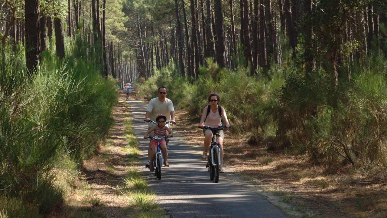 Photo of Outdoor in Sainte-Eulalie-en-Born