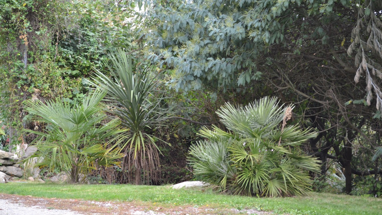 Photo of Outdoor in Ile-aux-Moines