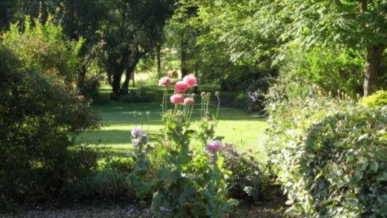 Photo of Outdoor in Lussan