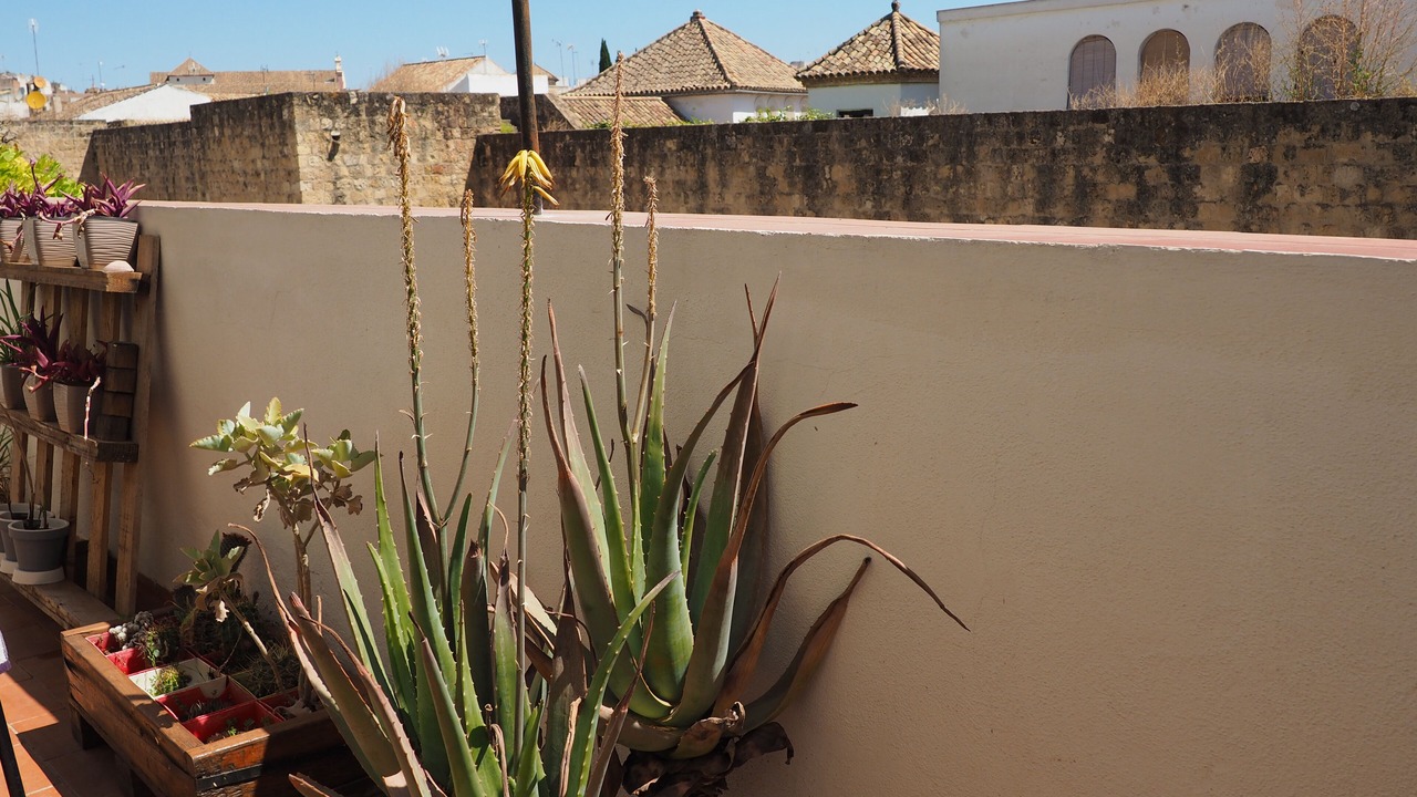 Photo of Outdoor in Jewish Quarter