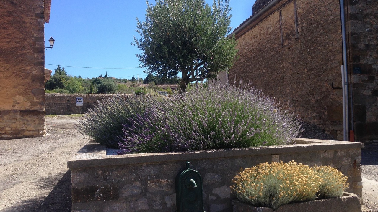 Photo of Outdoor in Pradelles-en-Val