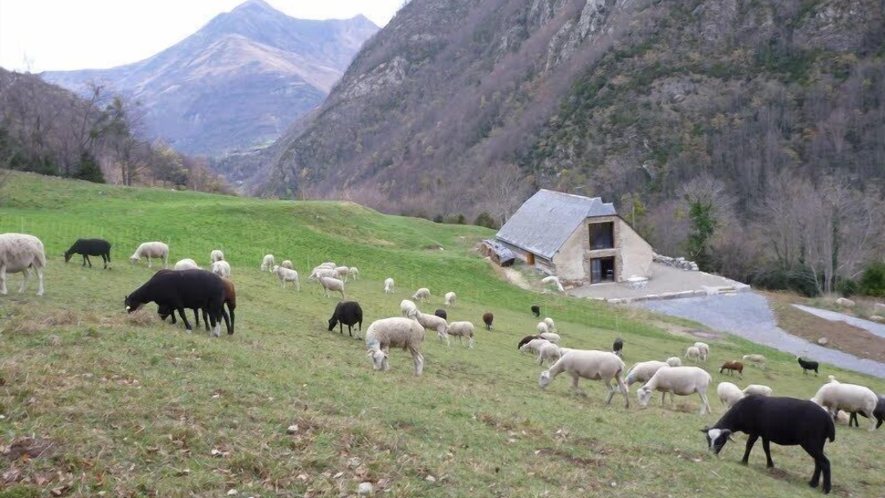 Photo of Outdoor in Luz-Saint-Sauveur