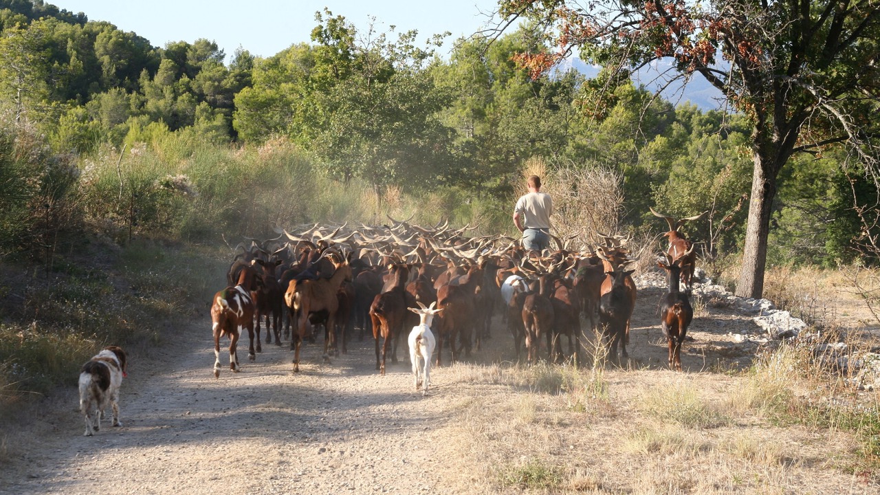 Photo of Others in La Roque-d'Antheron