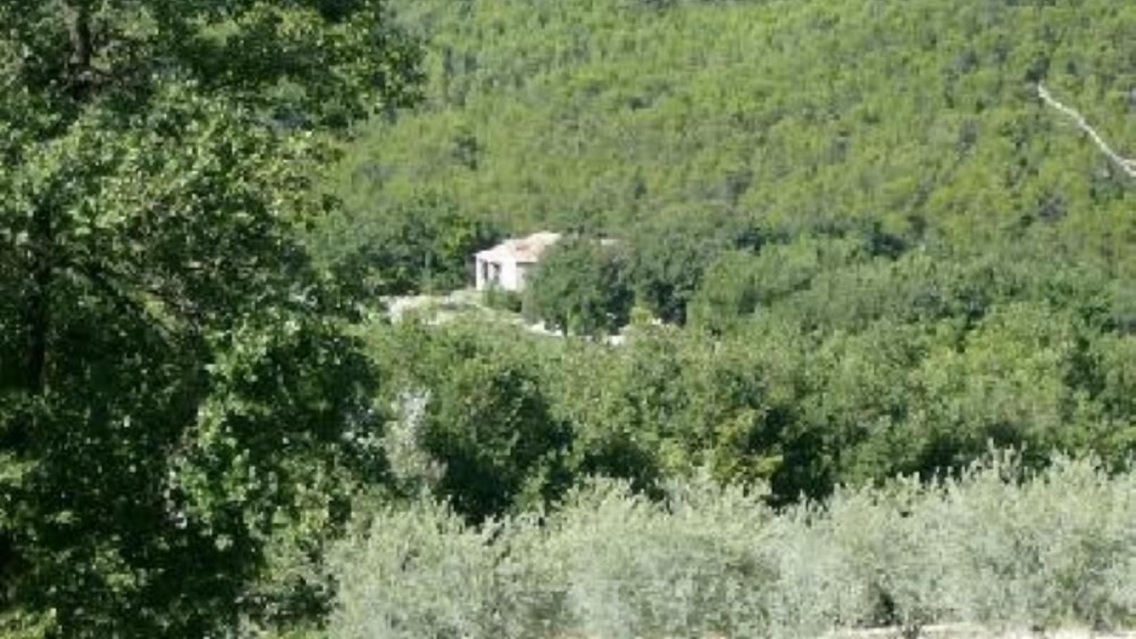 Photo of Others in La Roque-d'Antheron