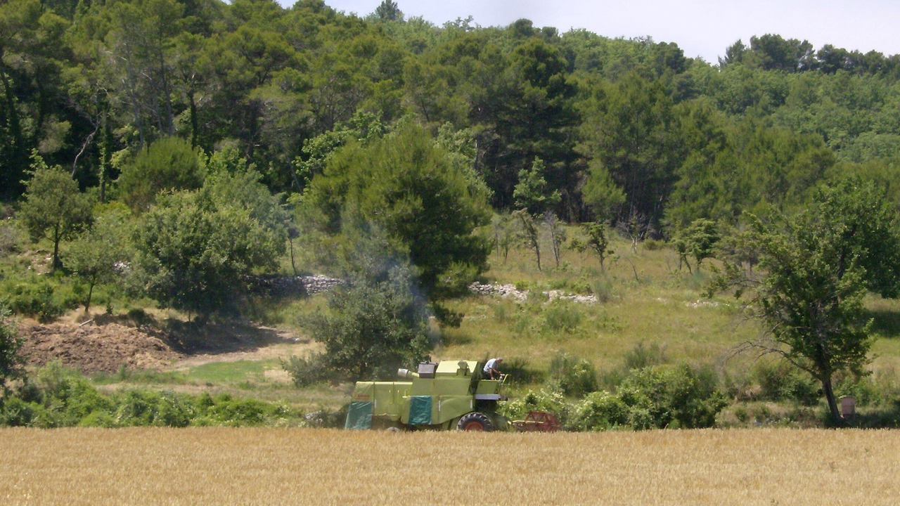 Photo of Others in La Roque-d'Antheron