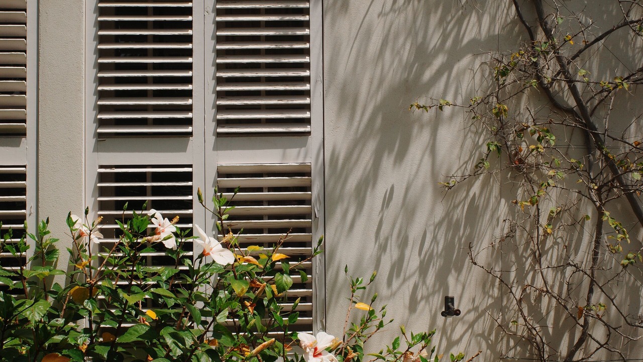 Photo of Outdoor in Passeig Maritim