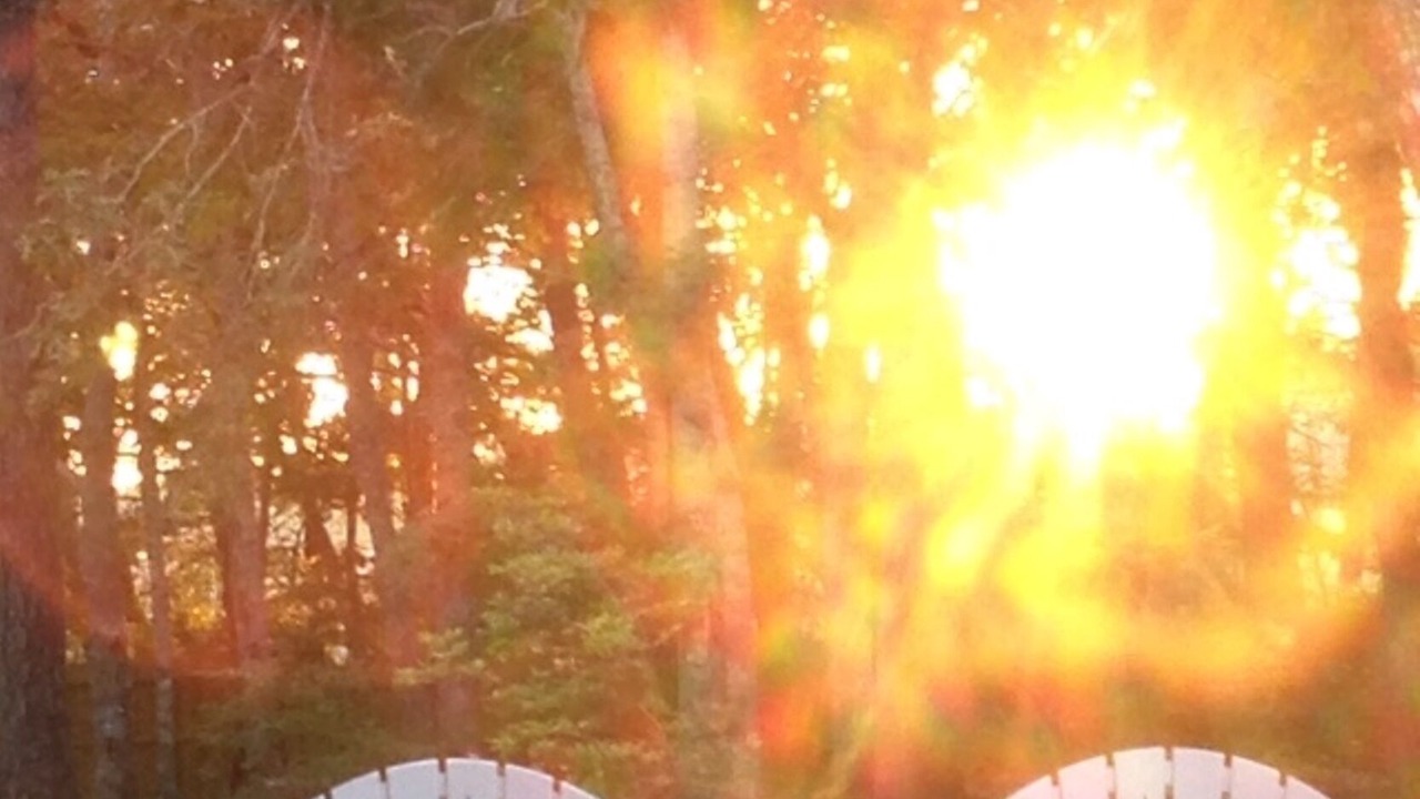 Photo of Others in Bass River