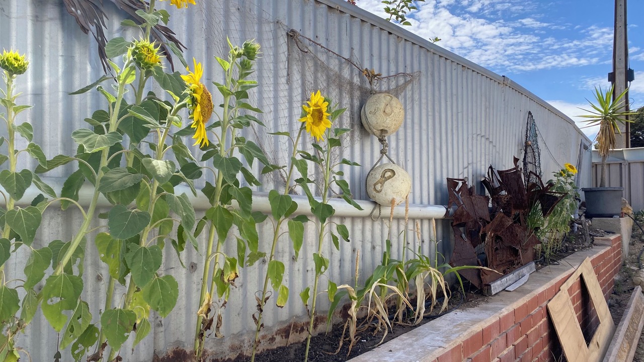 Photo of Outdoor in Melville