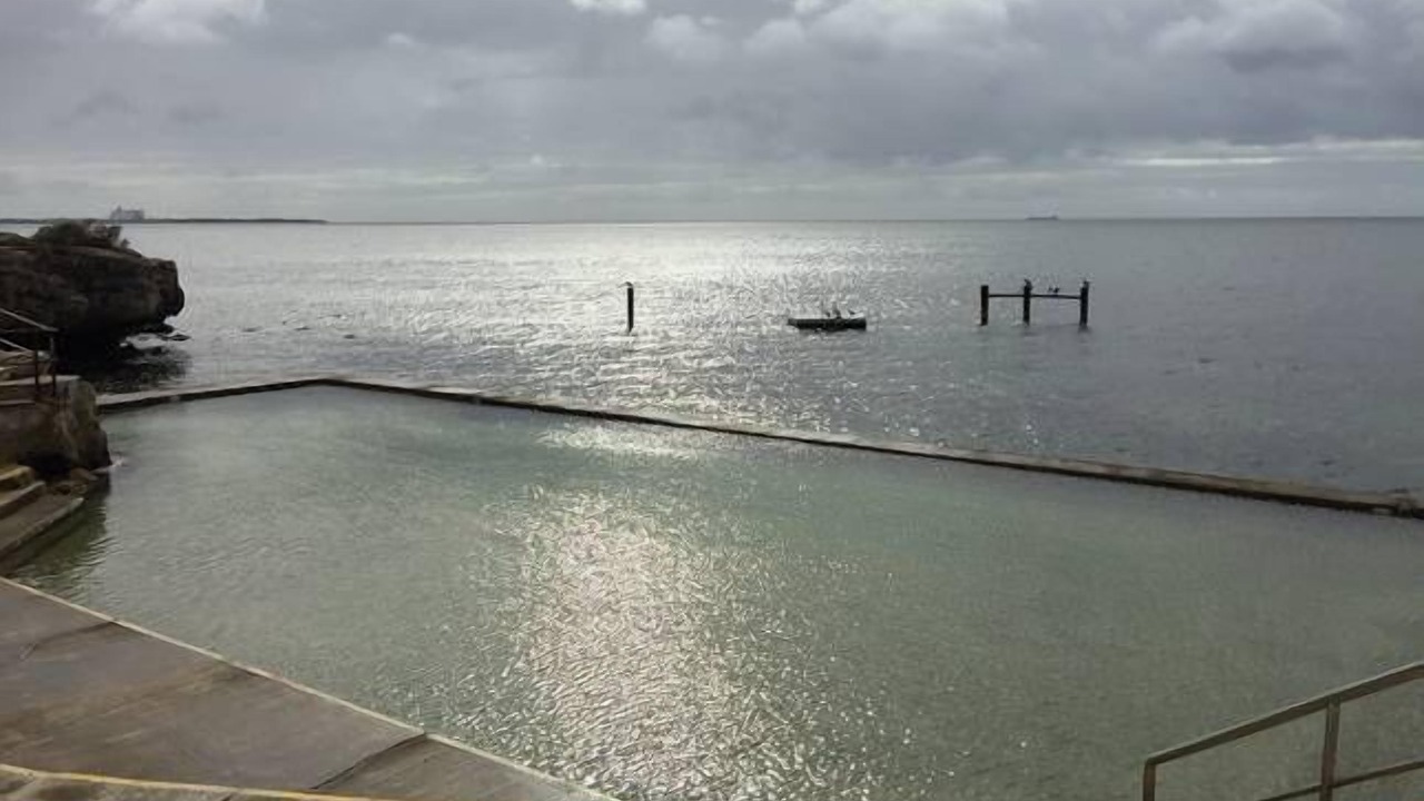 Photo of Outdoor in Melville