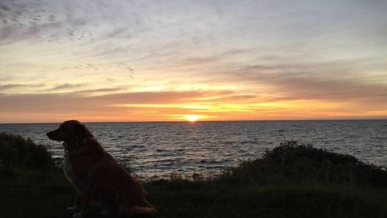 Photo of Others in Melville