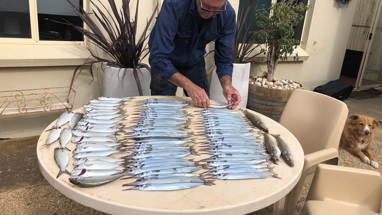 Photo of Kitchen in Melville