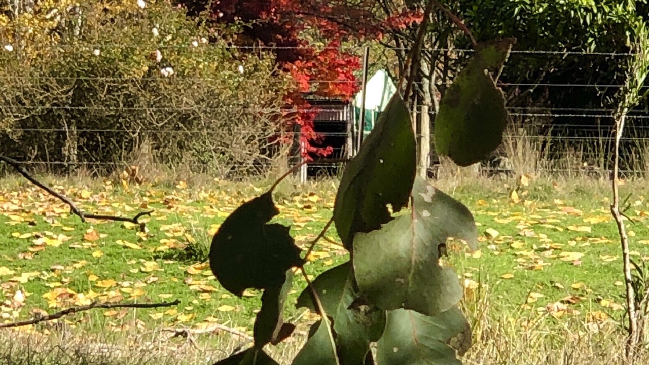 Photo of Outdoor in Great Ocean Road