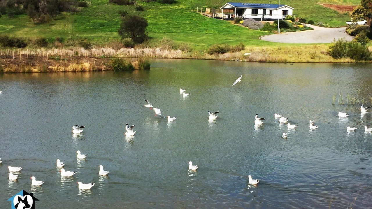 Photo of Outdoor in Encounter Bay