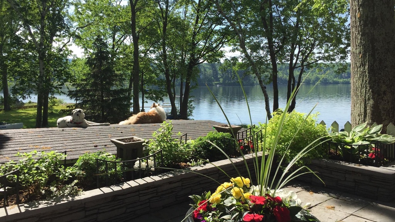 Photo of Outdoor in Lac-Brome