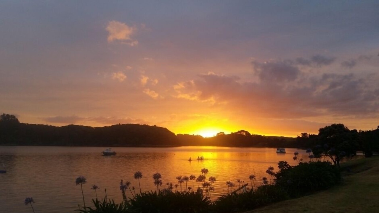 Photo of Others in Ngunguru