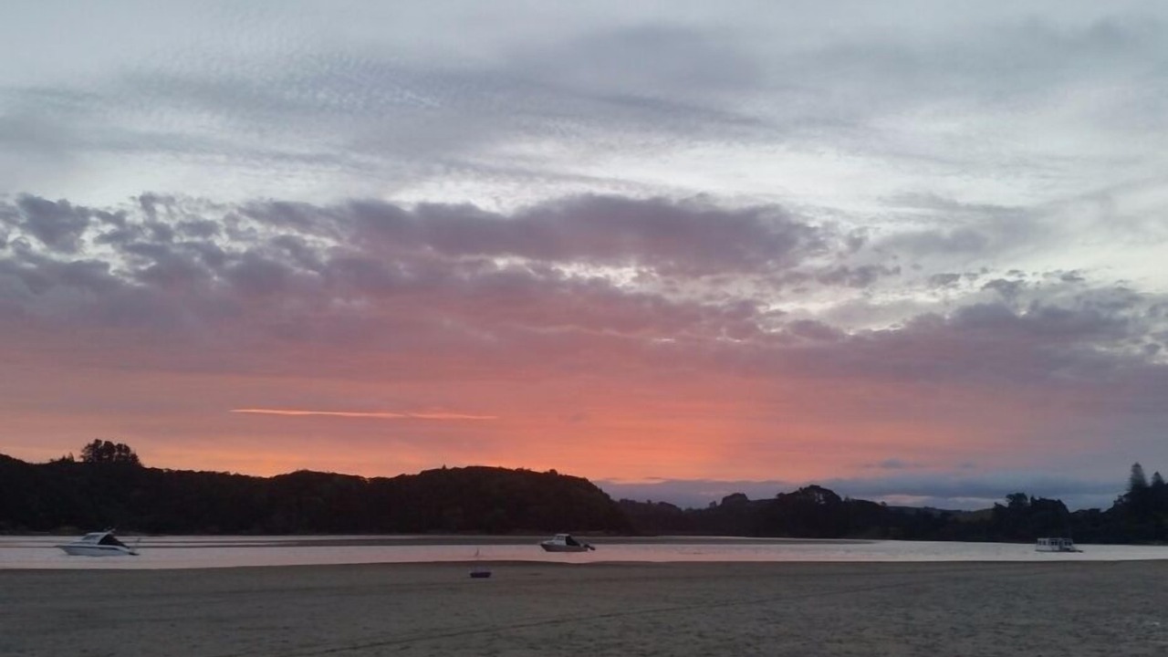 Photo of Others in Ngunguru