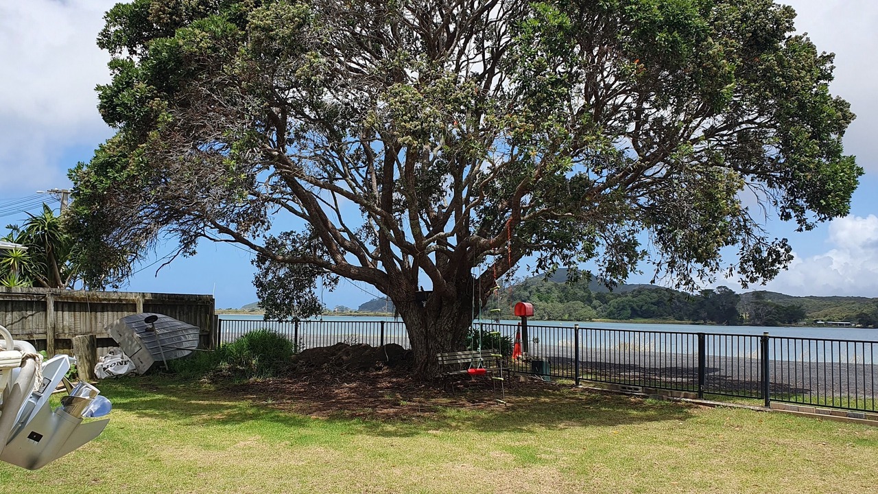 Photo of Outdoor in Ngunguru