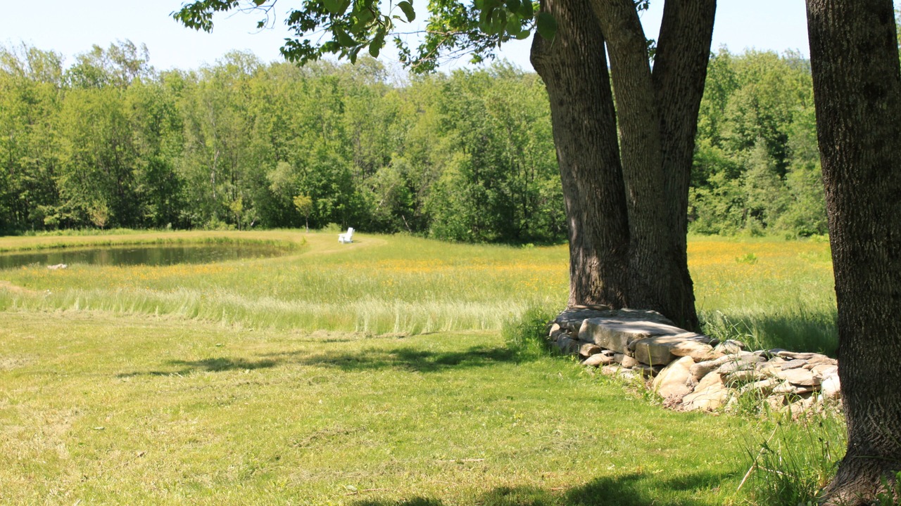 Photo of Others in Middlefield