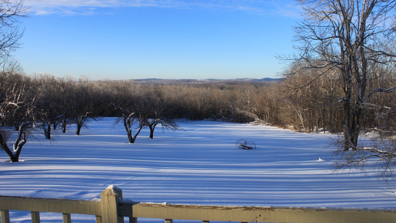 Photo of Others in Middlefield