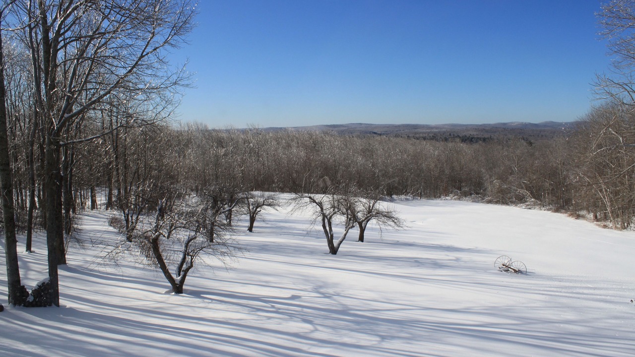 Photo of Others in Middlefield