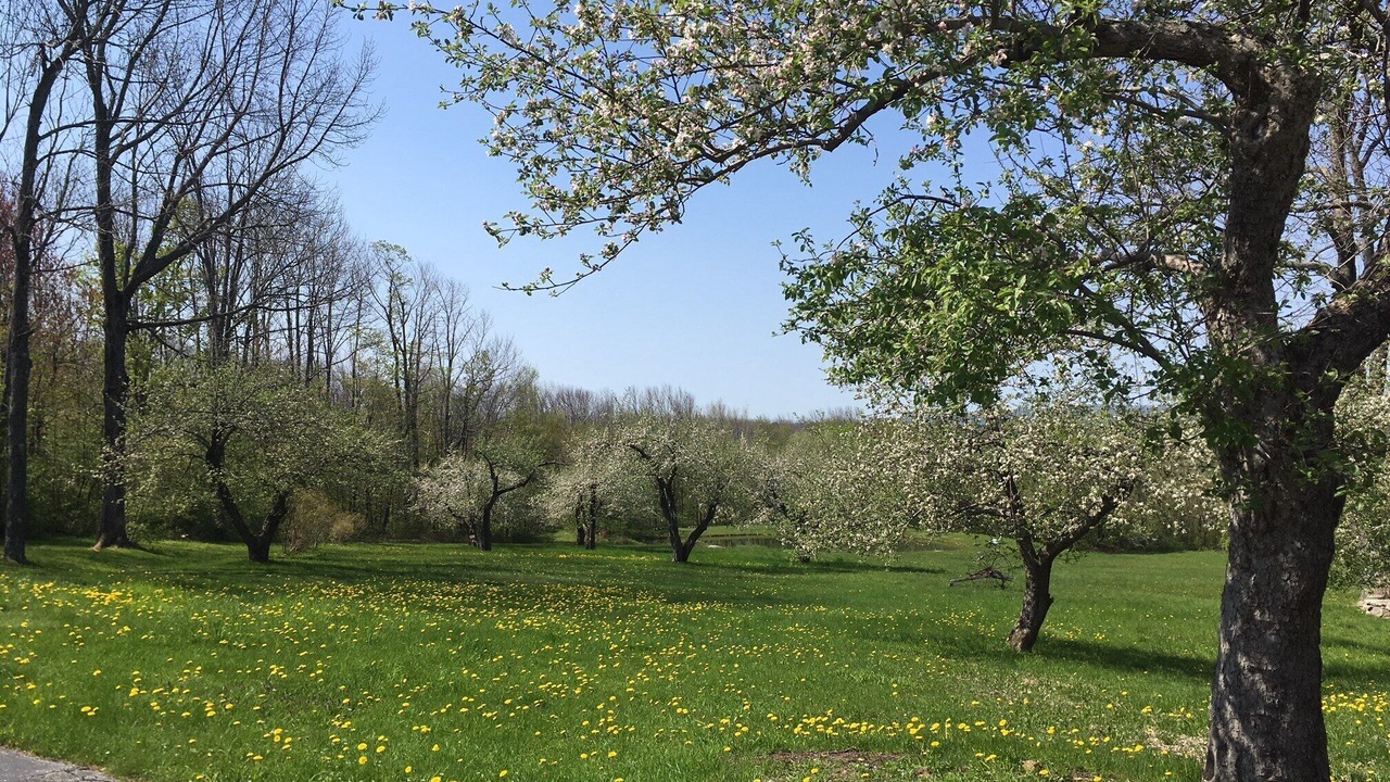 Photo of Others in Middlefield