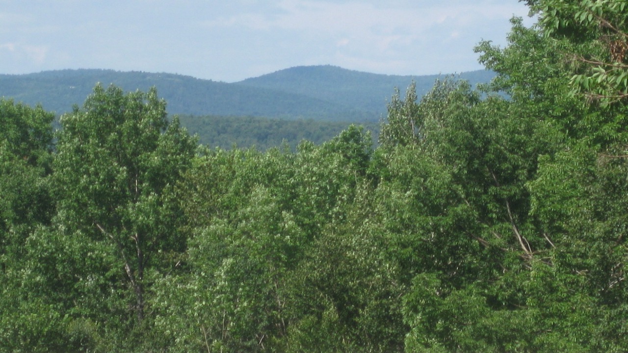Photo of Others in Middlefield