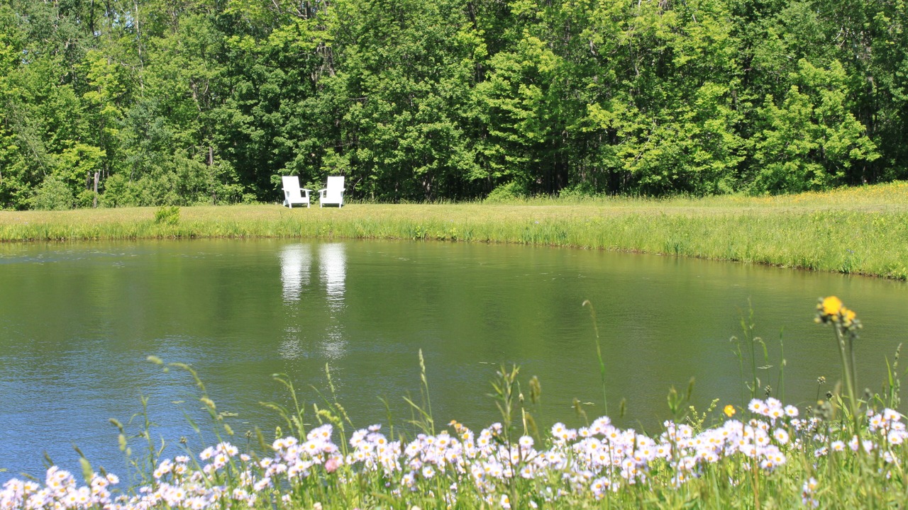Photo of Others in Middlefield