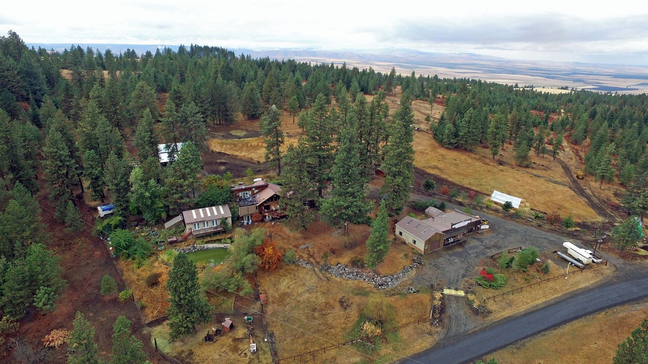 Photo of Others in Fenn