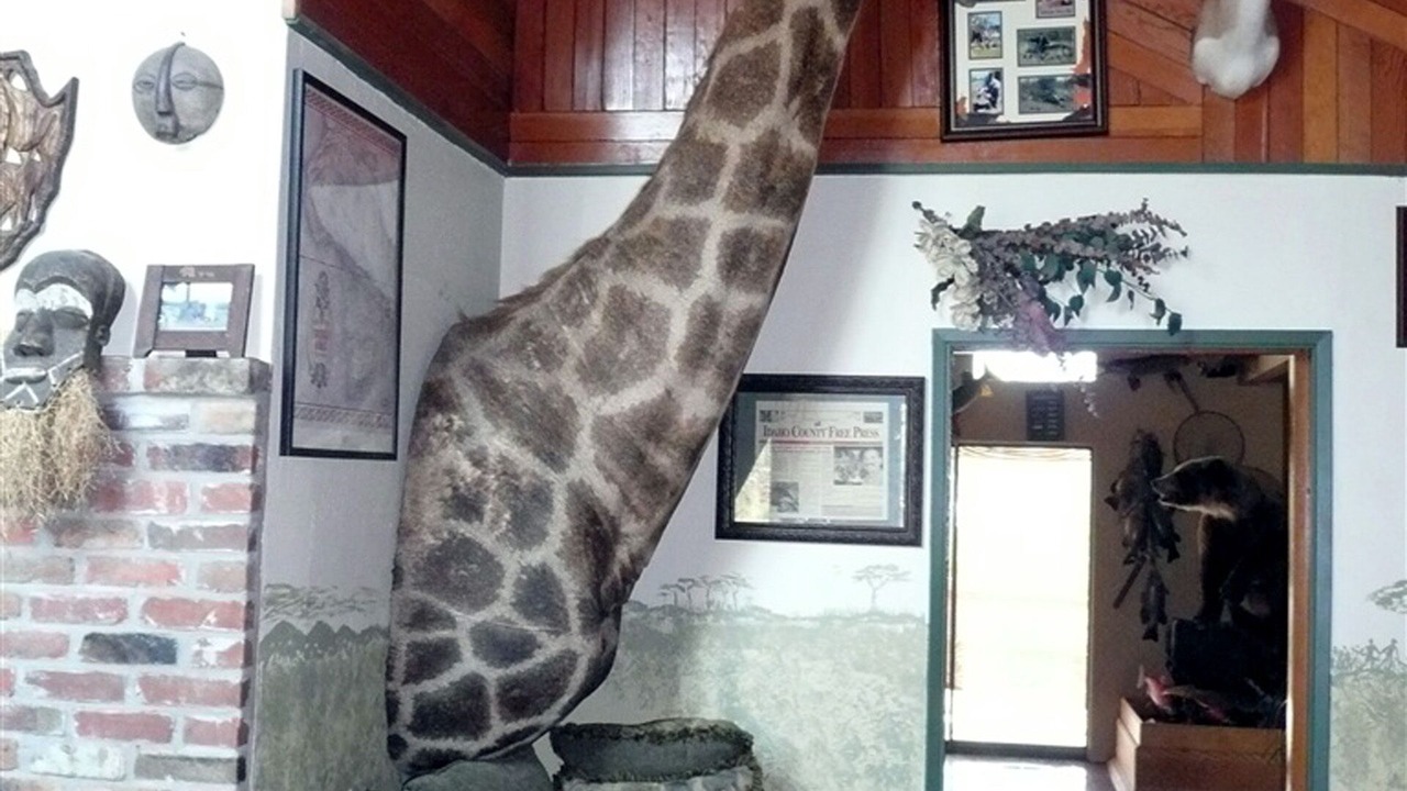 Photo of Bedroom in Fenn