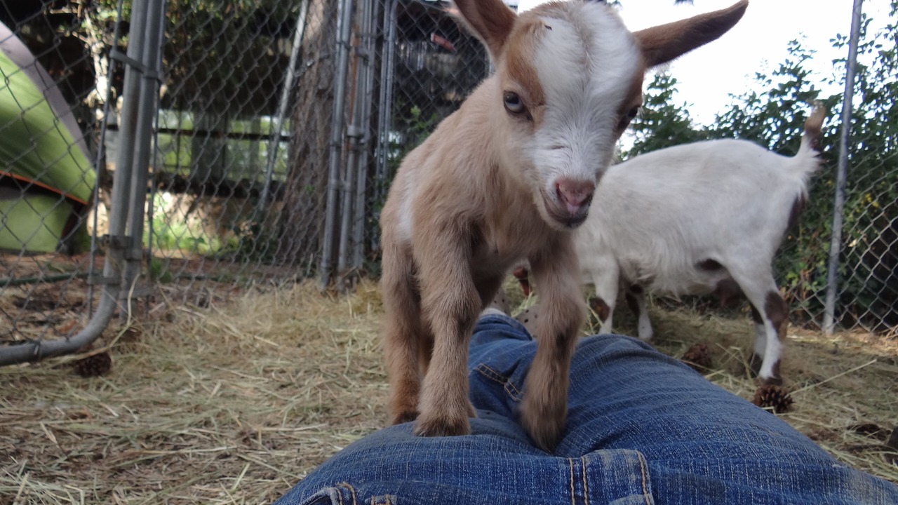 Photo of Others in Fenn