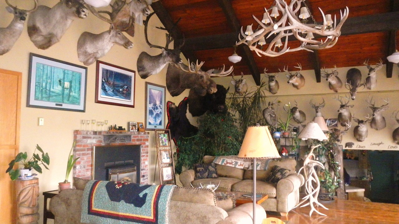 Photo of Livingroom in Fenn