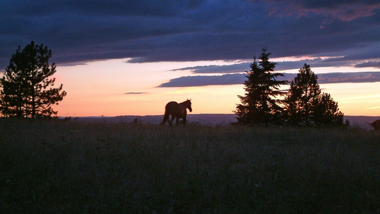 Photo of Others in Fenn