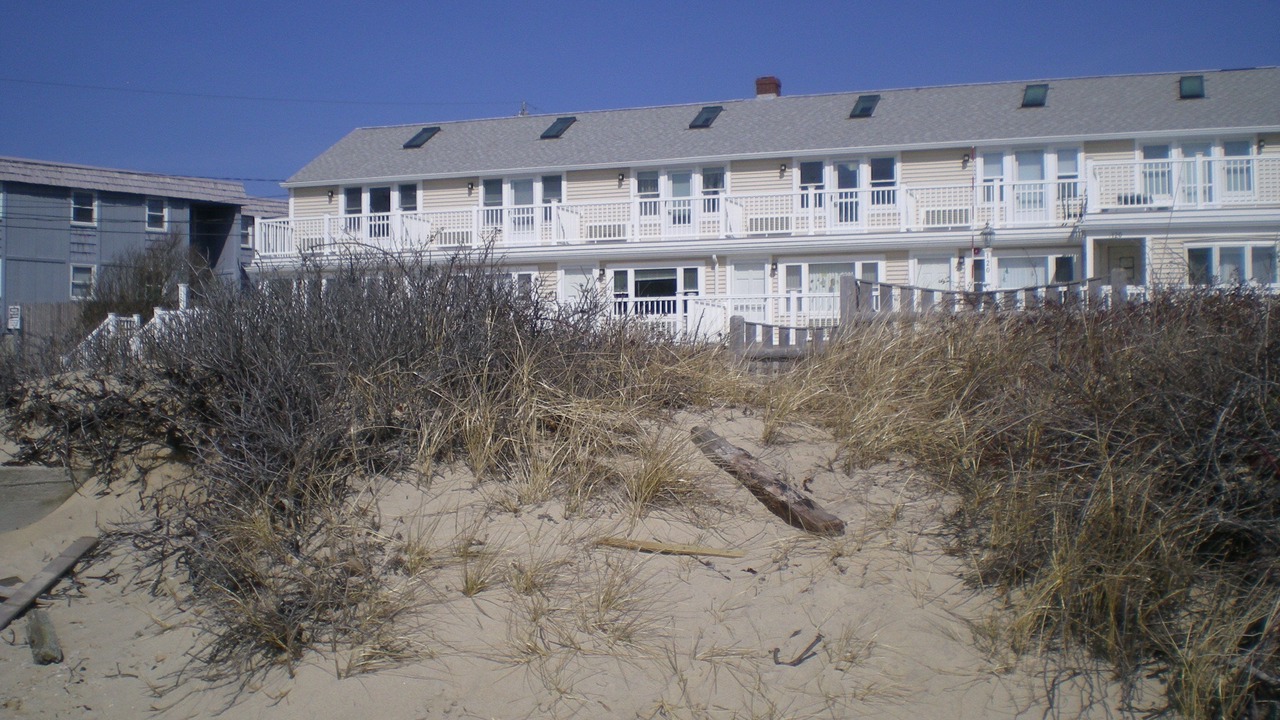 Photo of Others in Dennis Port