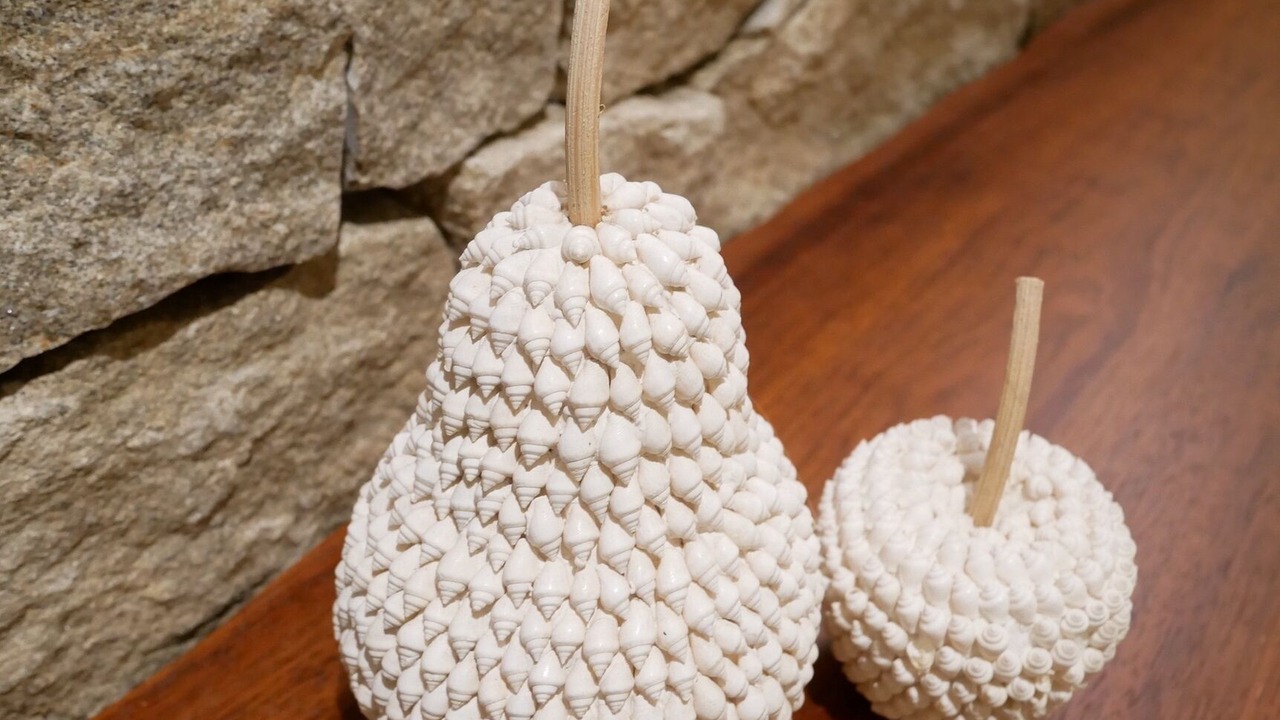 Photo of Others in Terrigal