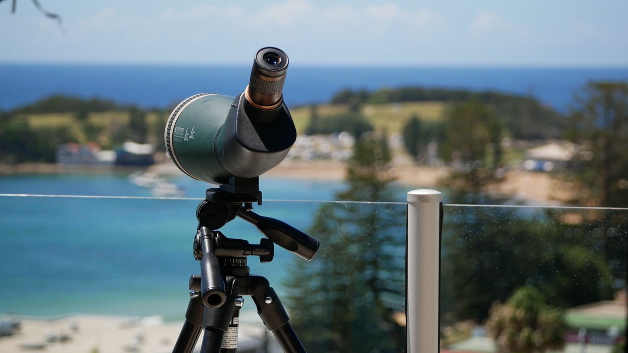 Photo of Others in Terrigal