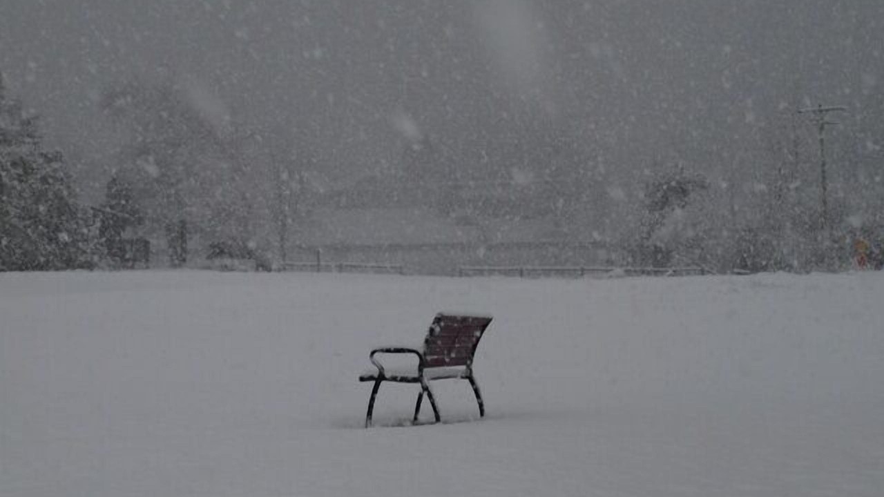 Photo of Others in North Lake George