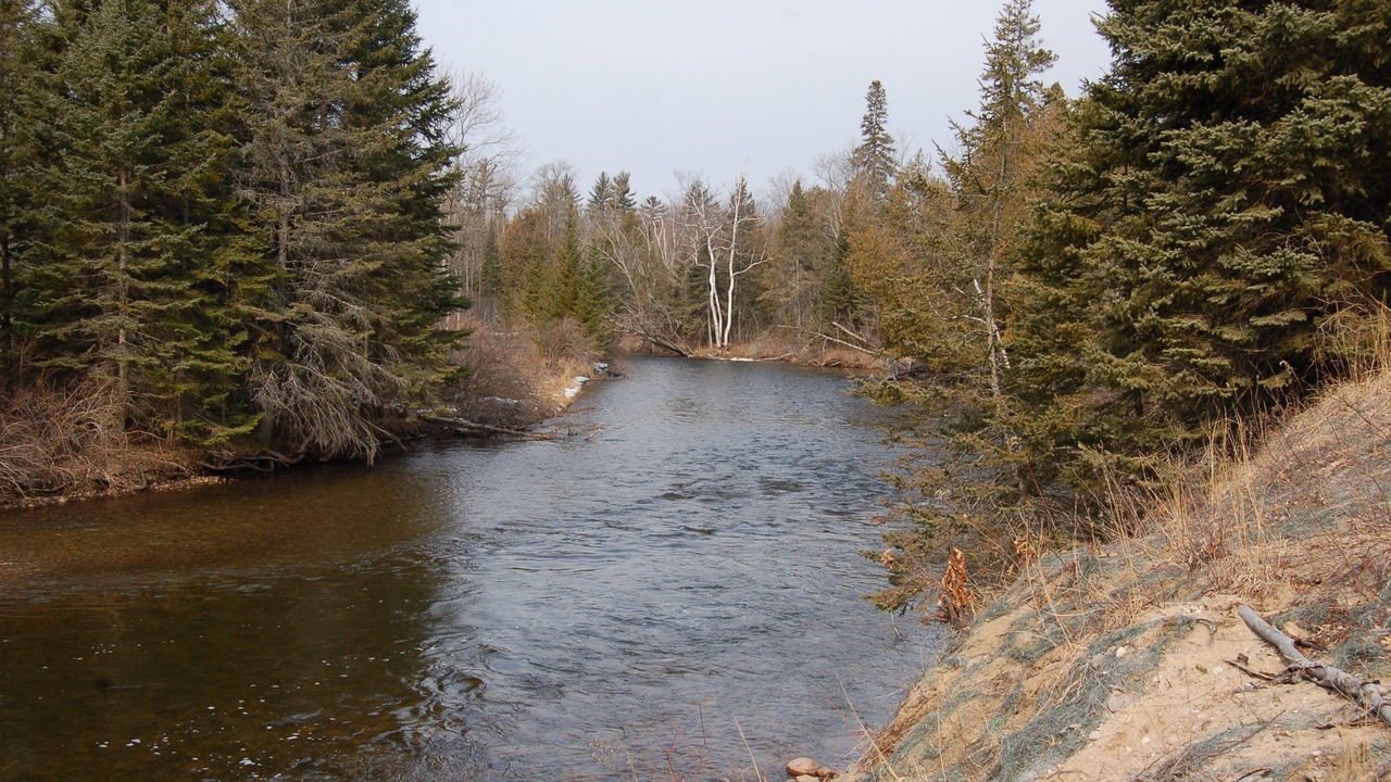 Photo of Others in Cheboygan