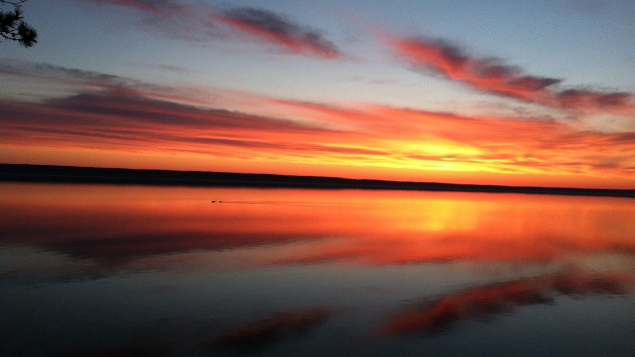 Photo of Others in Cheboygan