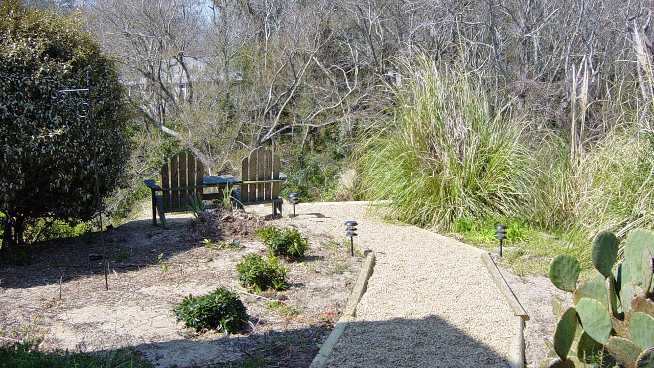 Photo of Outdoor in Southern Shores