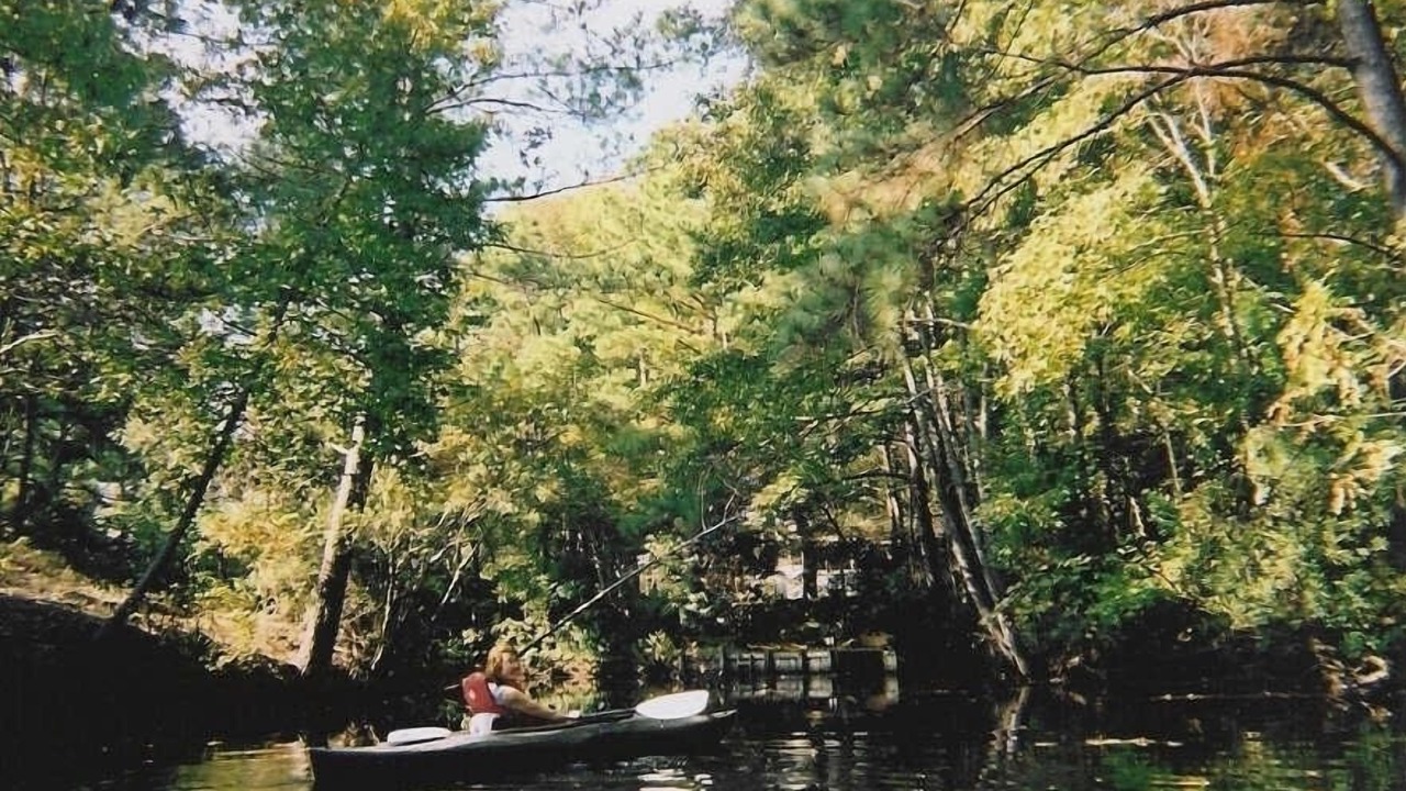 Photo of Others in Southern Shores