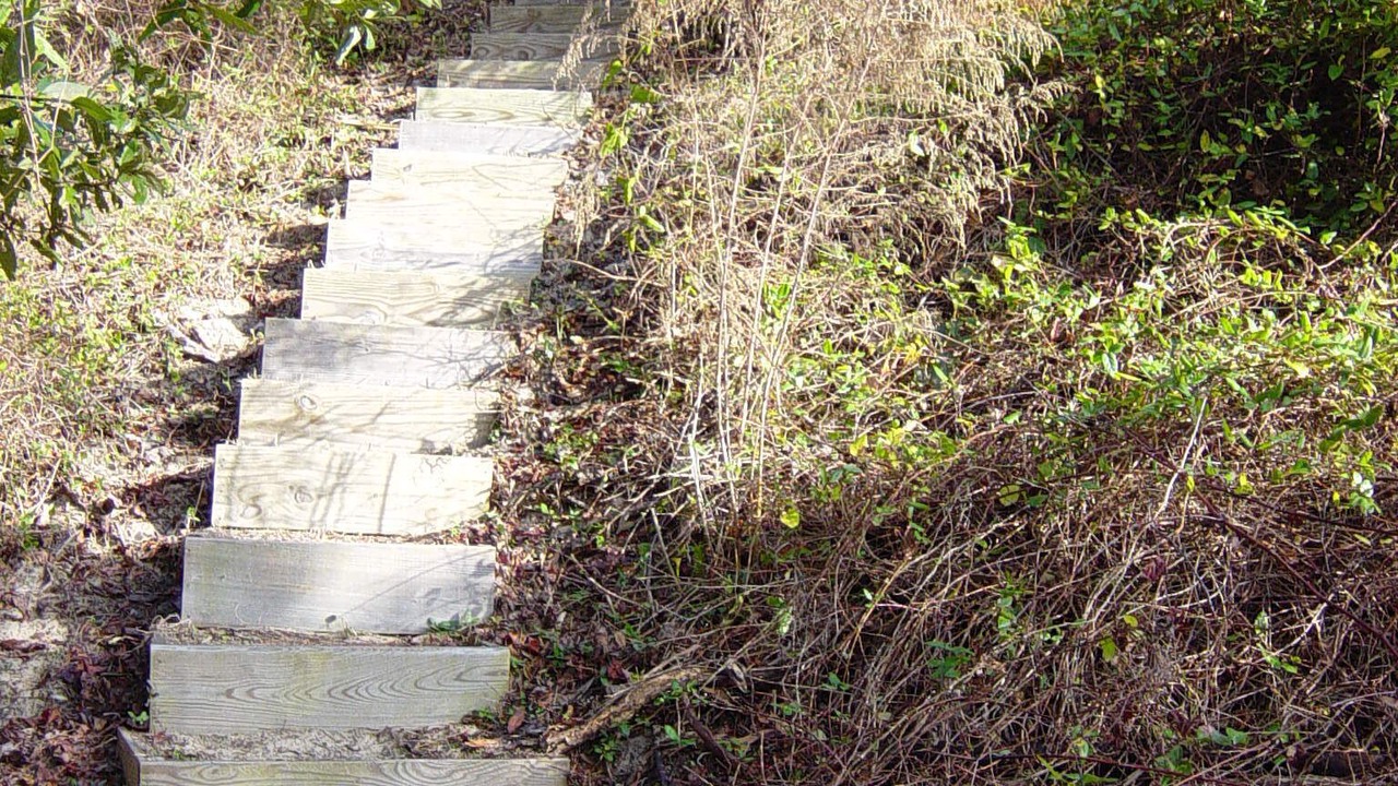 Photo of Outdoor in Southern Shores